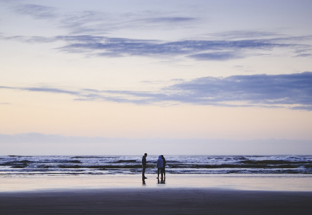 people stands on seashore