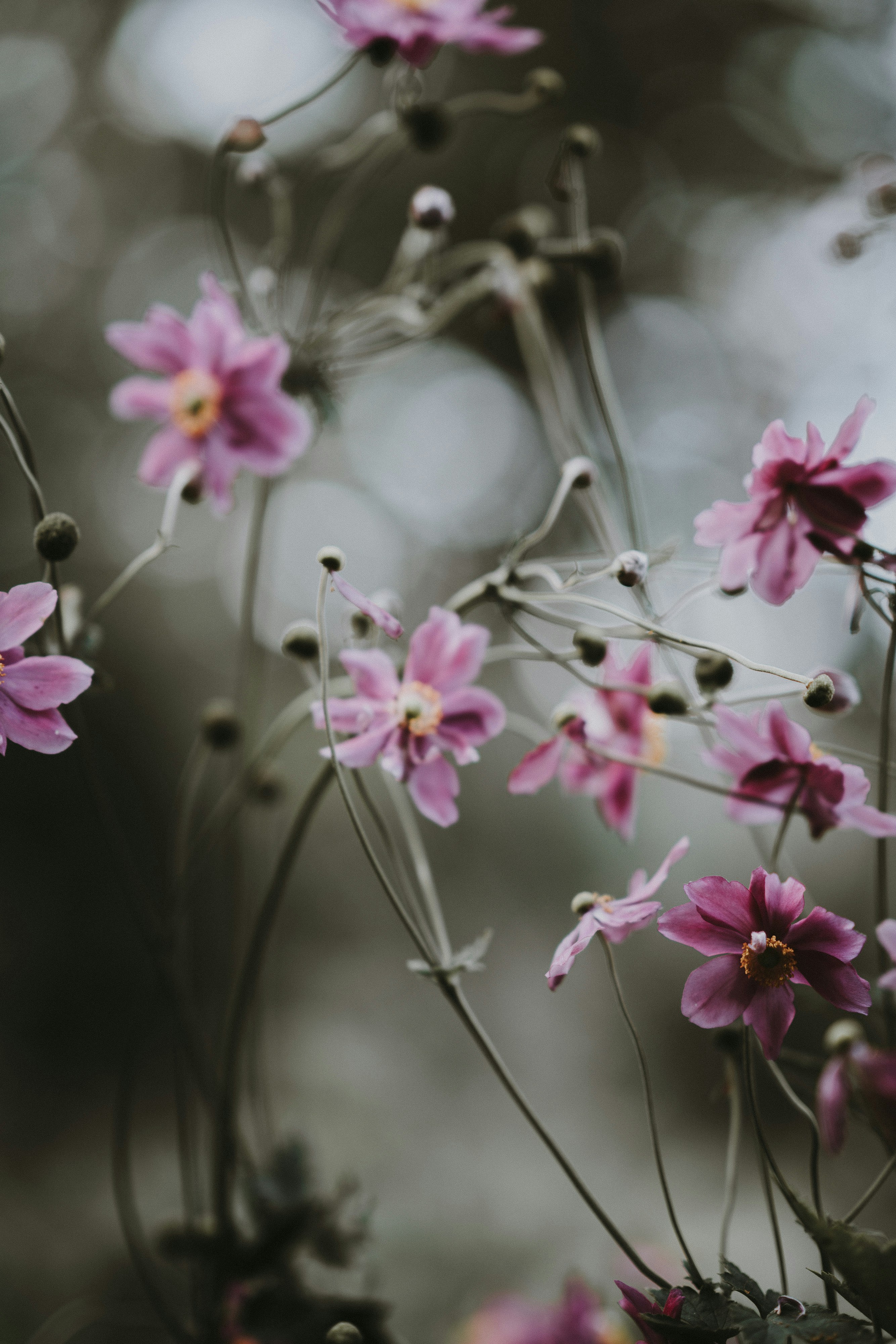 Photo by anniespratt