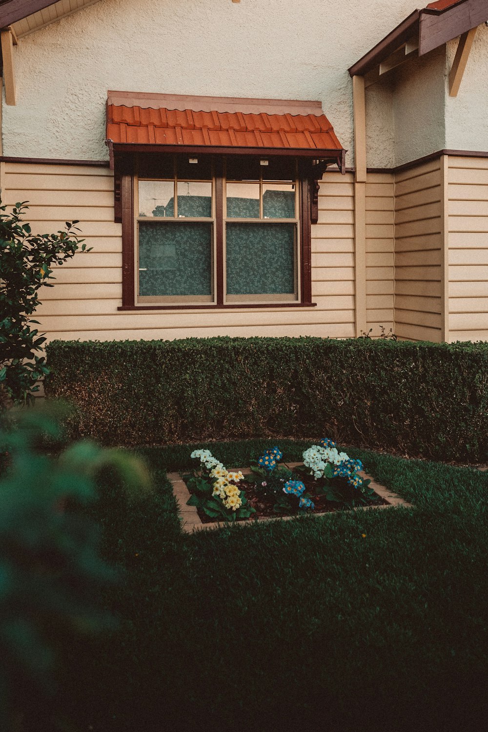 house with clear glass windows