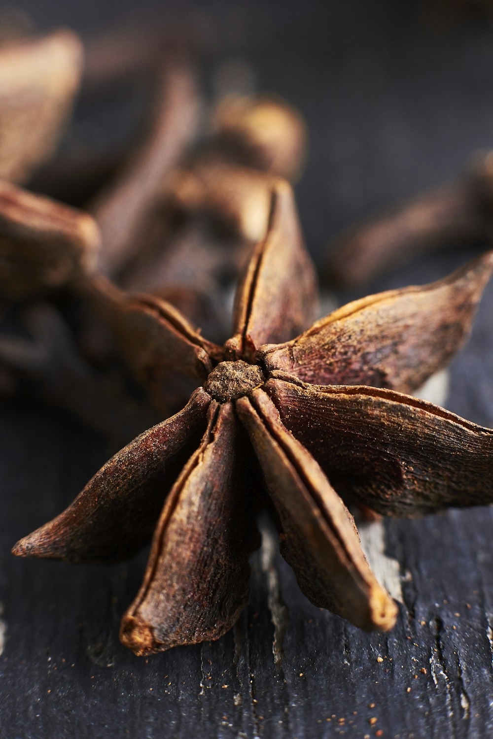 closeup photo of brown star anise