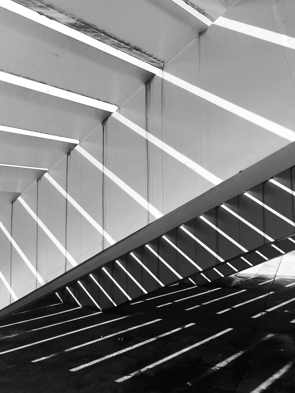 a black and white photo of a bridge