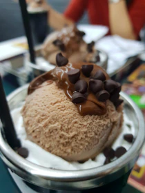 Chocolate ice cream scoop topped with chocolate shavings and a drizzle of fudge.