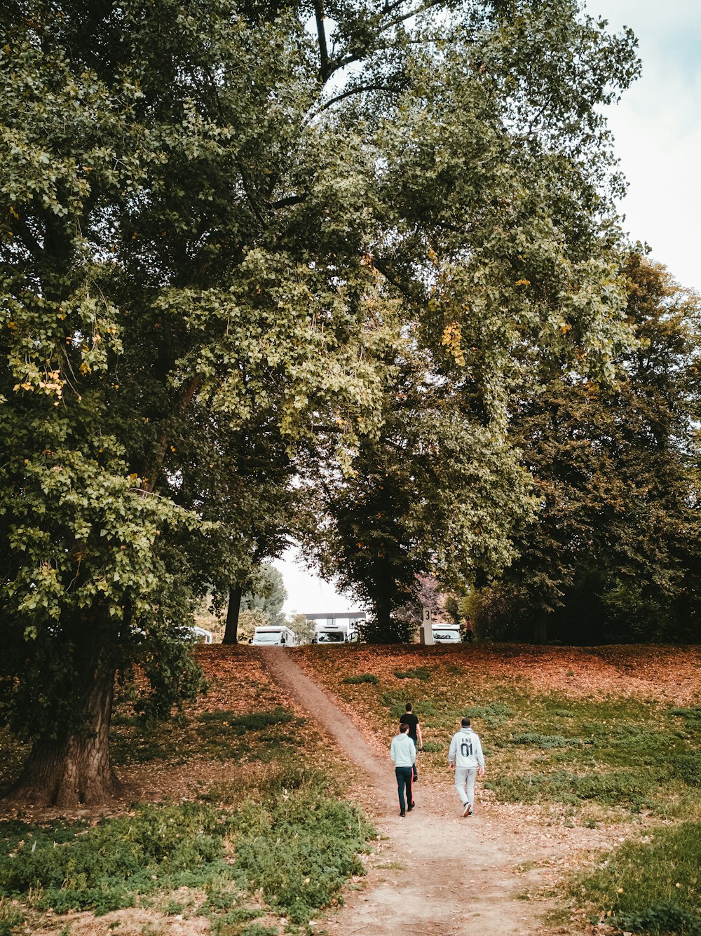 Tres hombres caminando por el sendero durante el día