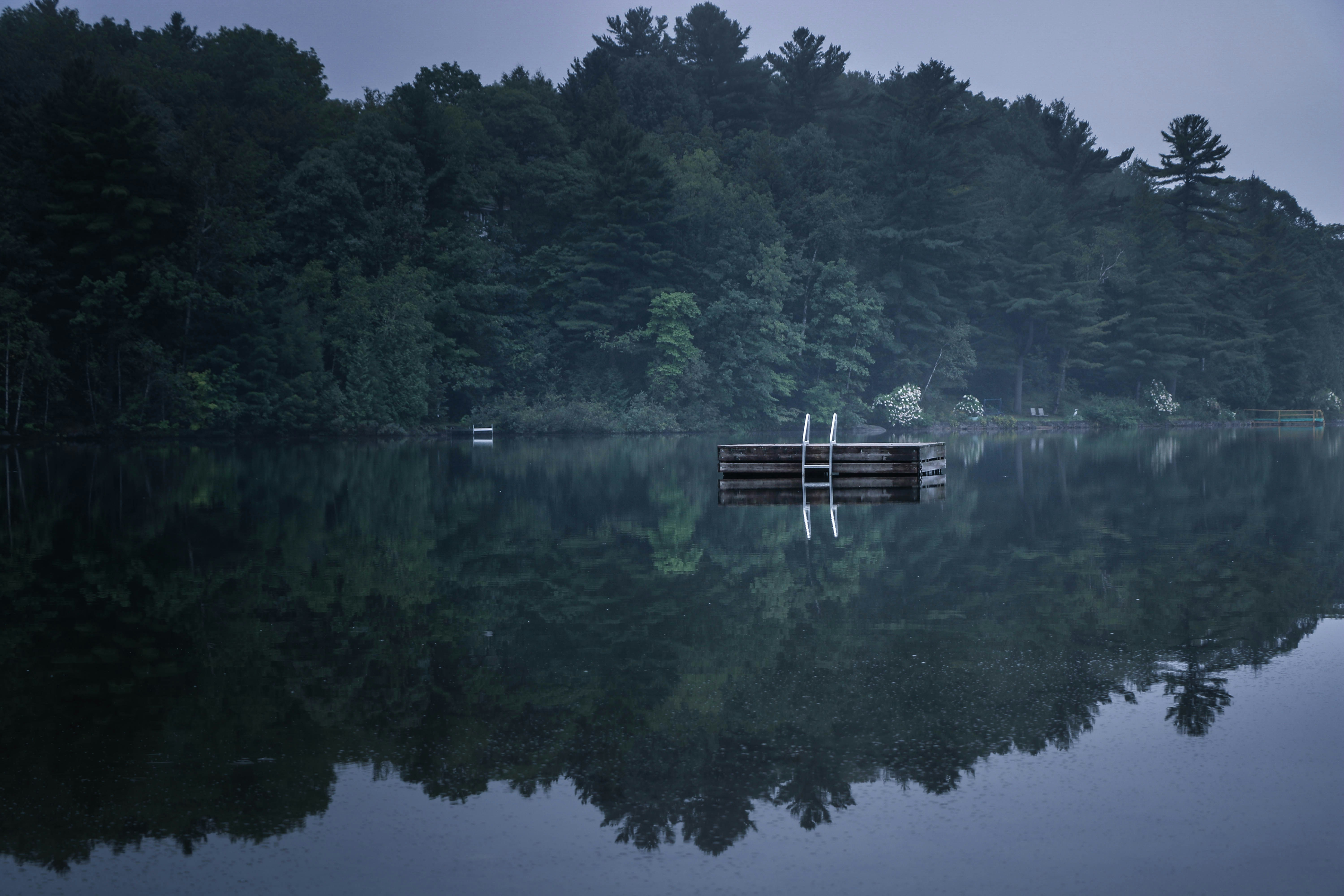 On my last holidays, we were on going to go cycling but the weather was terrible. Instead we walked by the lake juste at the bottom of the house and spend the afternoon taking pictures. This picture is by far my favorite. It makes me see the beauty around me even when the weather is bad.