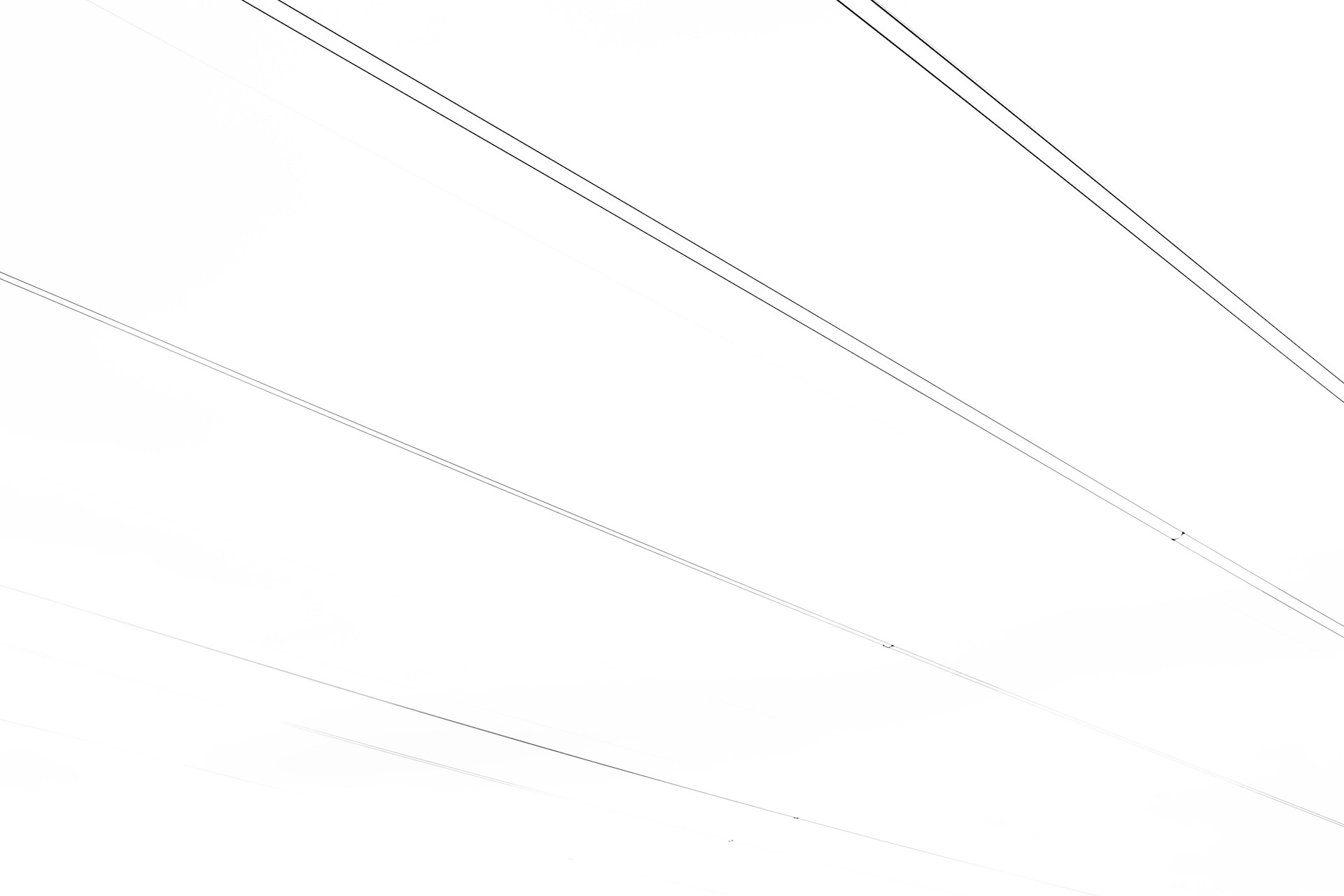 a black and white photo of power lines