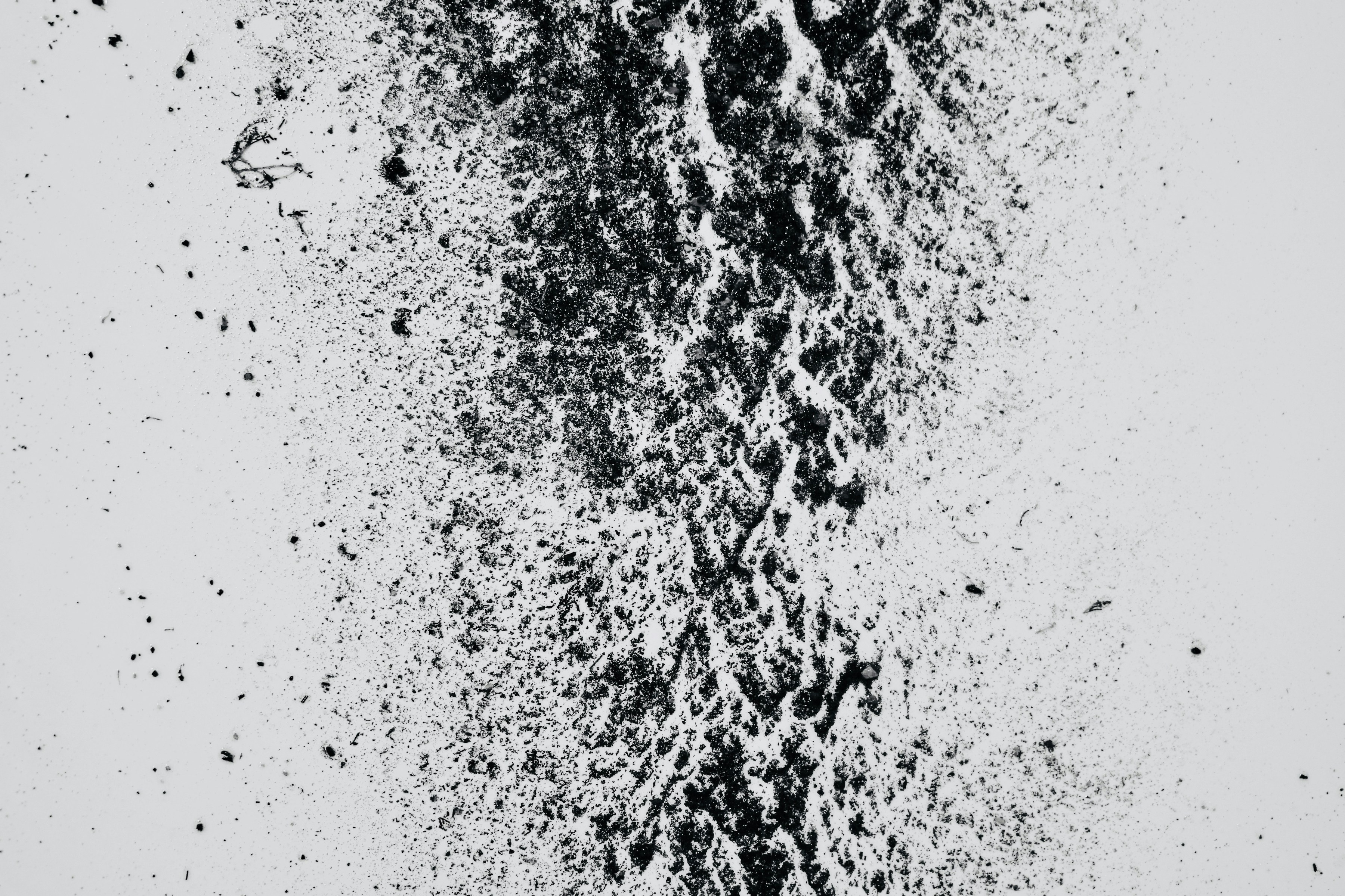 white and black digital wallpaper