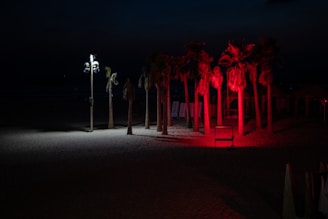A beach scene at night features palm trees illuminated by red and white lights. The sand is visible in the foreground, with a row of lounge chairs and small structures in the background. The stark contrast of lighting creates a dramatic and moody atmosphere.
