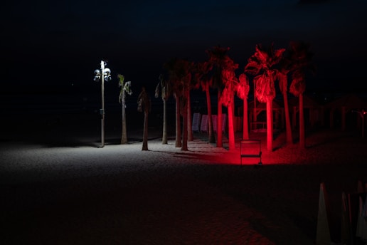 A beach scene at night features palm trees illuminated by red and white lights. The sand is visible in the foreground, with a row of lounge chairs and small structures in the background. The stark contrast of lighting creates a dramatic and moody atmosphere.