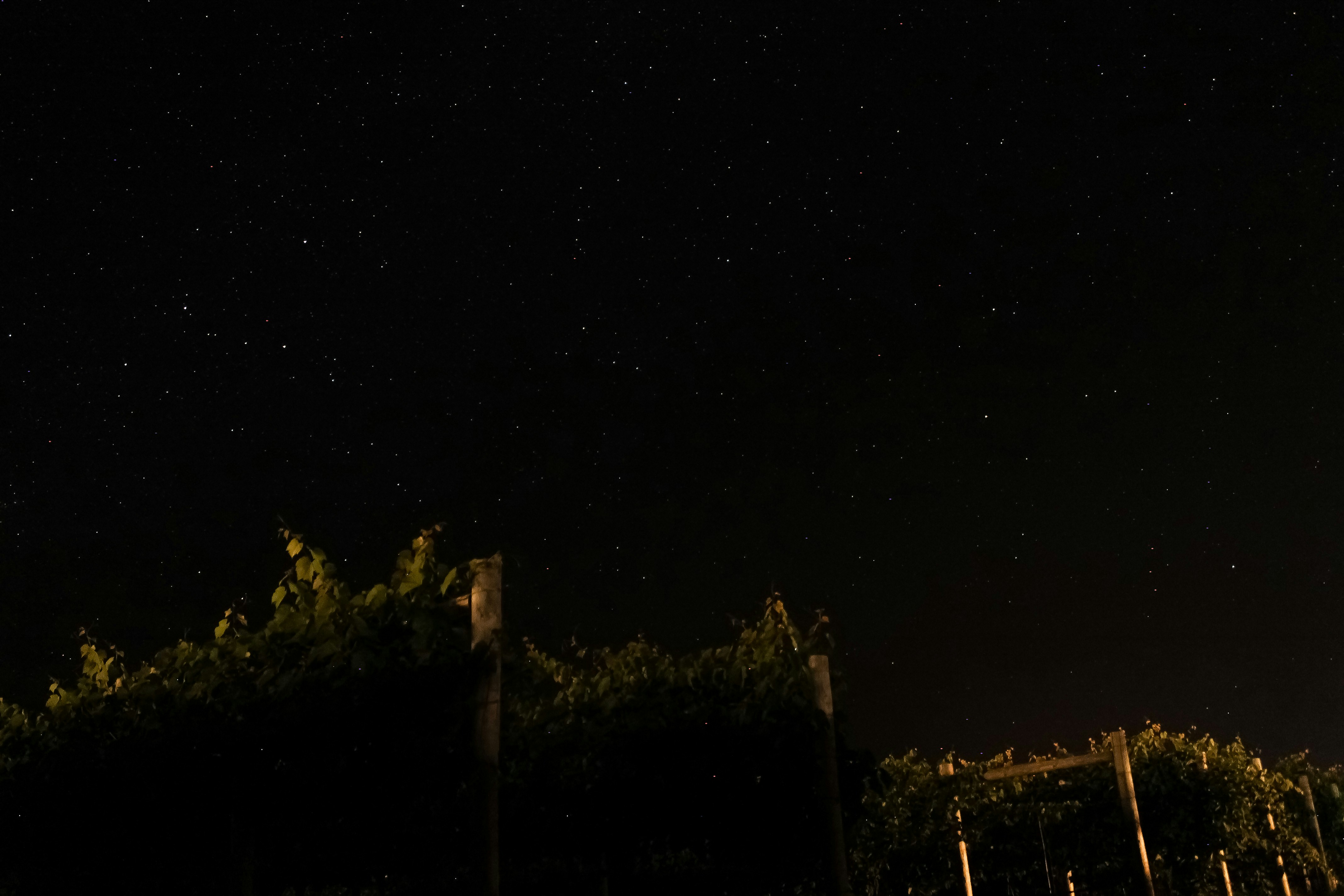 Photo by luke_schobert