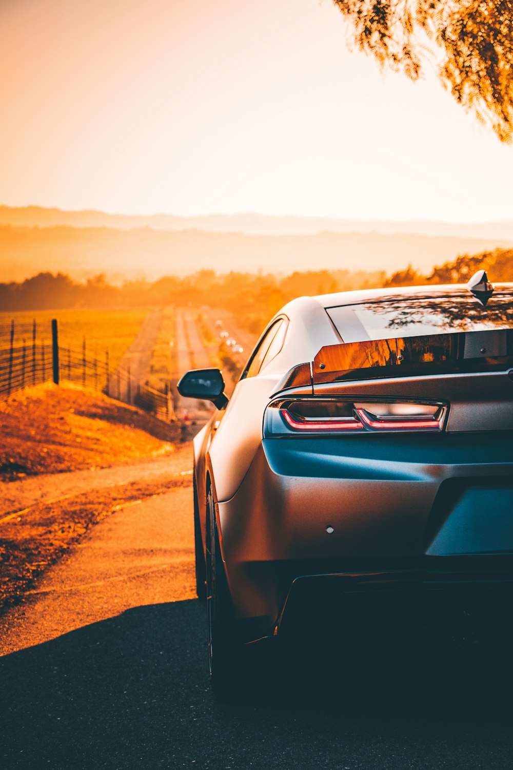 car on road during golden hour