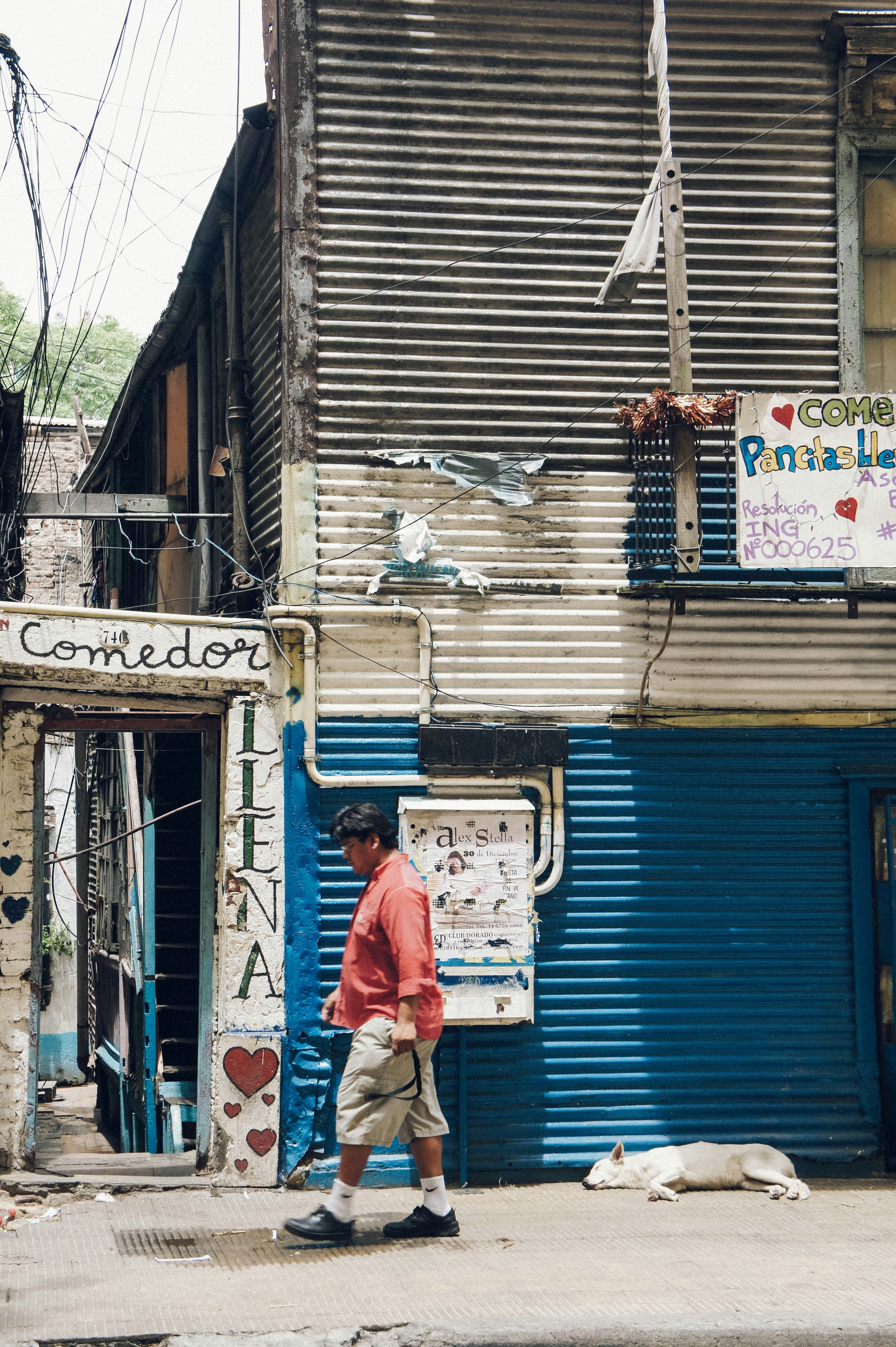 man walking near lying dog and building