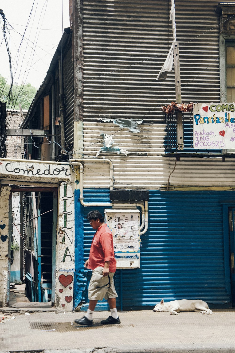 man walking near lying dog and building