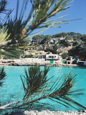 selective focus photography of concrete house near blue water