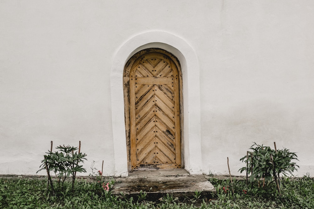 Arch Shaped Brown Wooden Door Photo Free Flora Image On