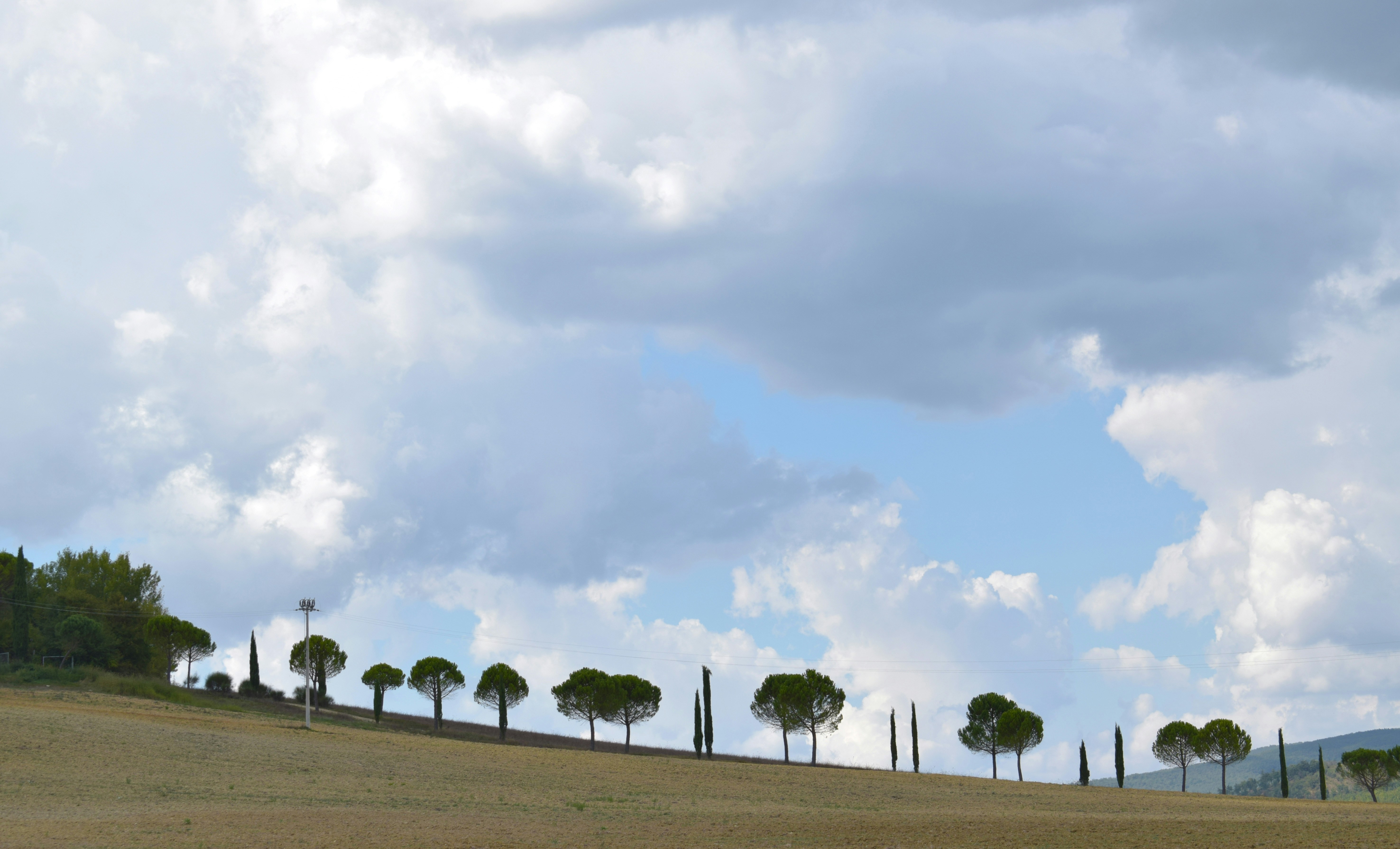 Build Community Resilience Through Resource Sharing
