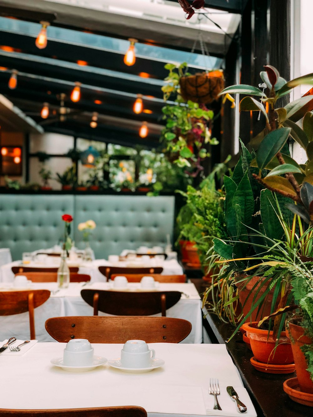  HD photo by Rosie yang (@itsyyyx) on Unsplash