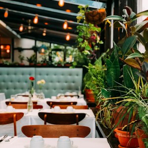Restaurant interior 3