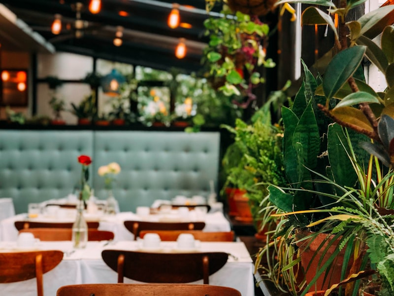 New York Deli Cafe & Pizza