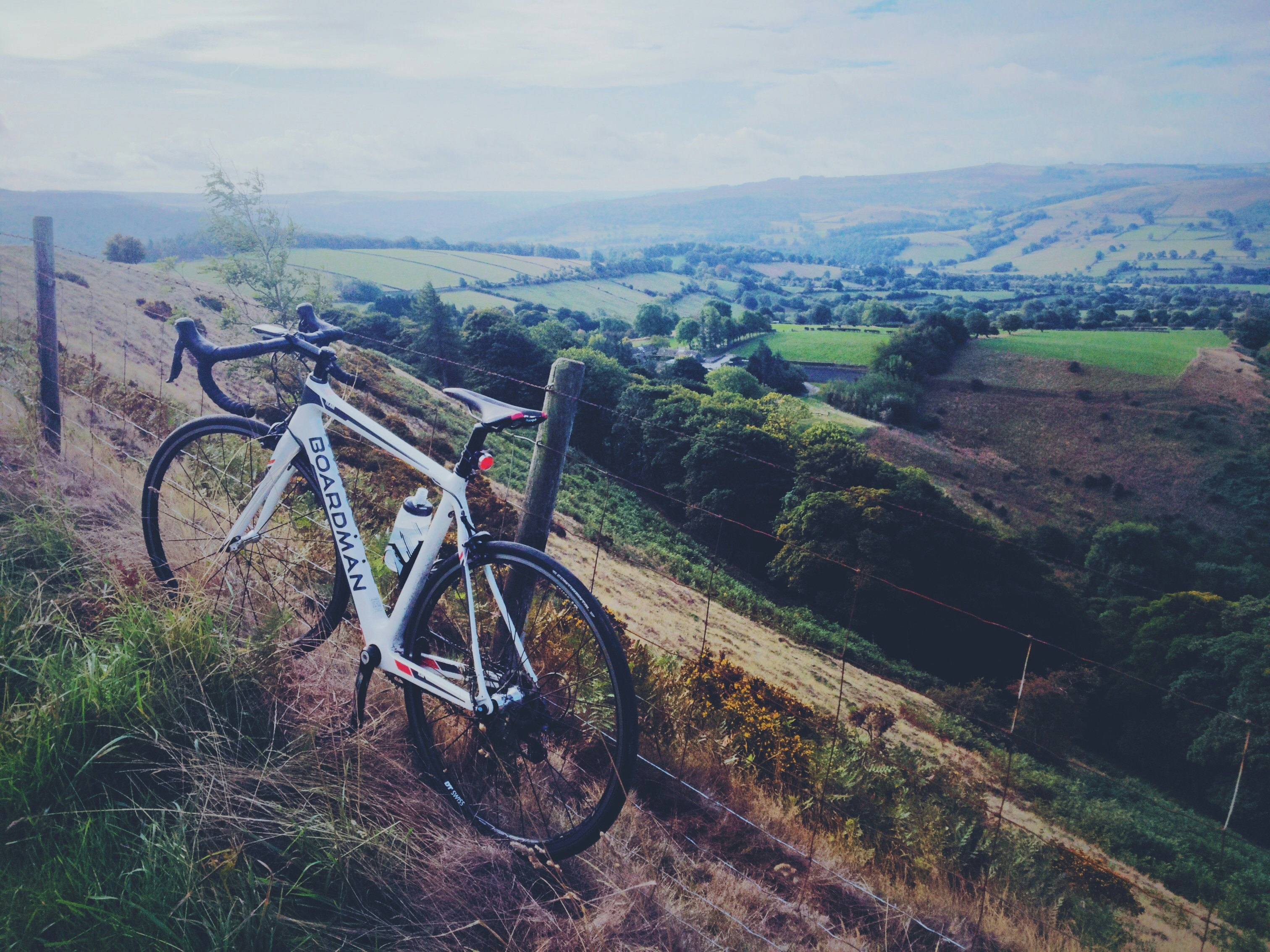 white boardman road bike