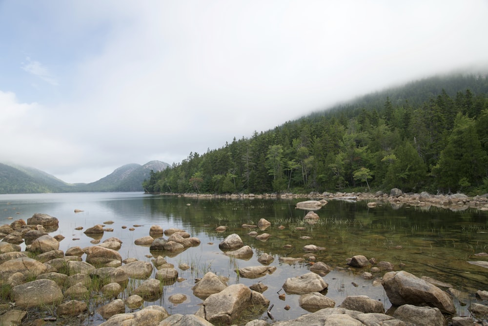 brown rocks near body of water during daytime