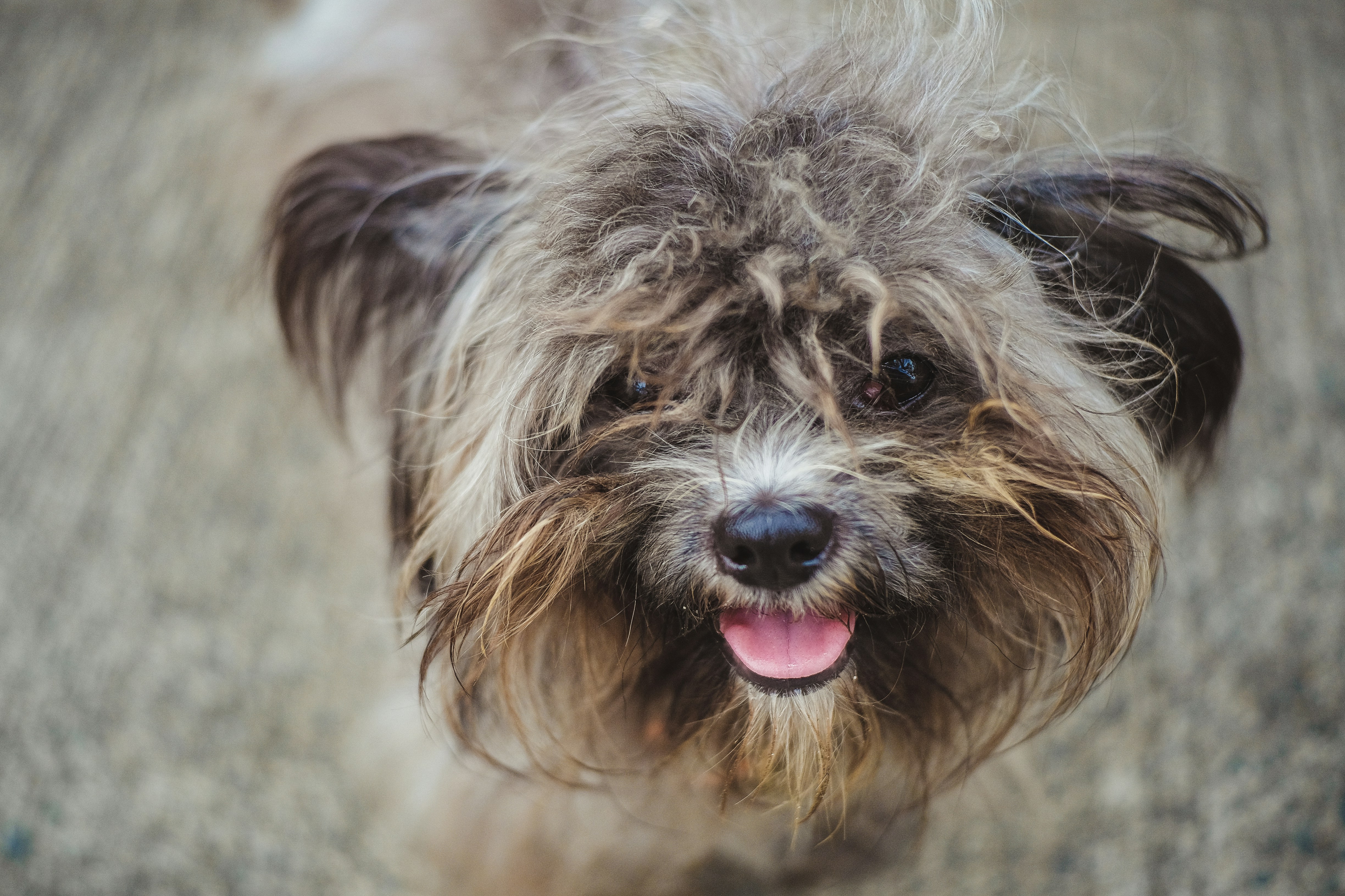 Photo by rainierridao