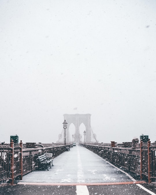 Brooklyn Bridge, New York in Brooklyn Bridge United States