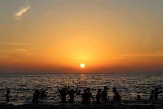 silhouette of people on beach in Cherai Beach India