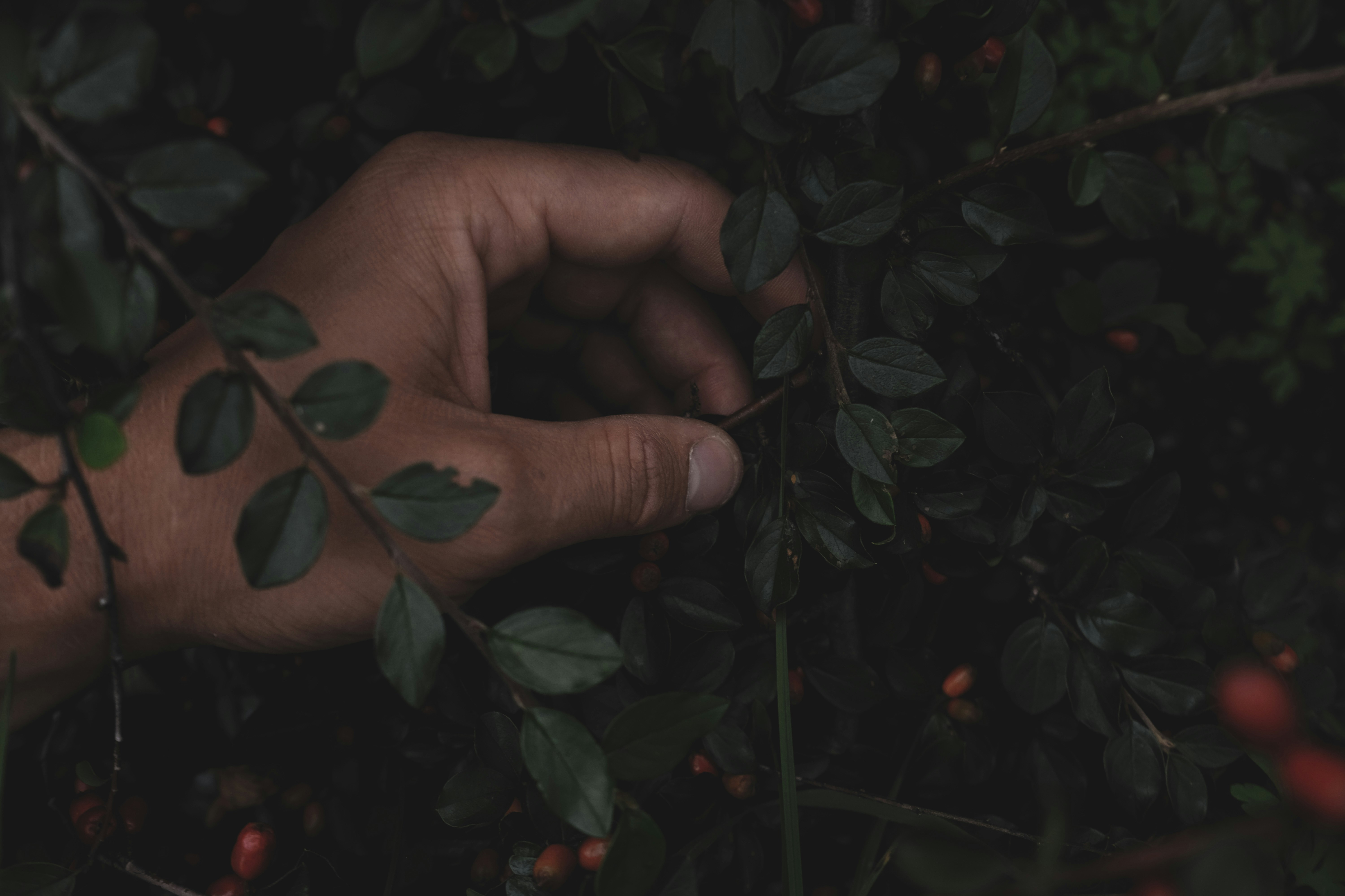 Photo by kaptenhaddock
