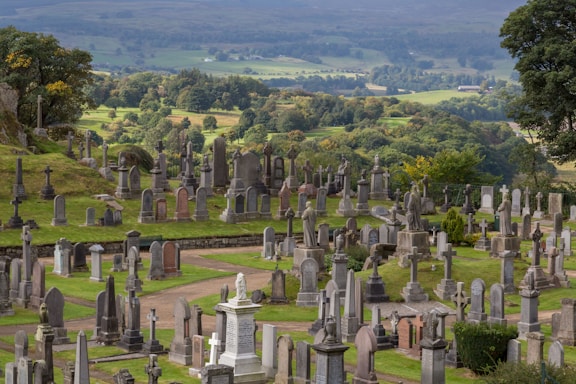 An expansive cemetery with numerous gravestones of various shapes and sizes is situated on a green hillside. The scene is framed by lush trees and overlooks a sprawling landscape of rolling hills and forests in the background, creating a serene and slightly somber atmosphere.