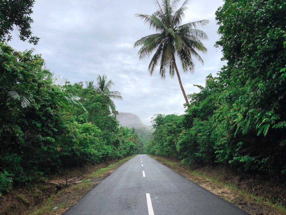 gray asphalt road