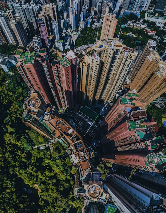 city buildings on top view in Victoria Peak Hong Kong
