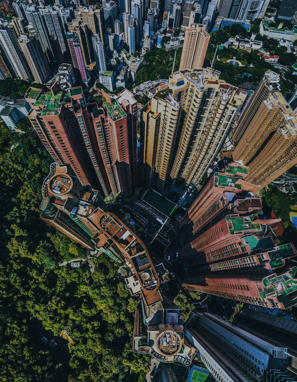 city buildings on top view