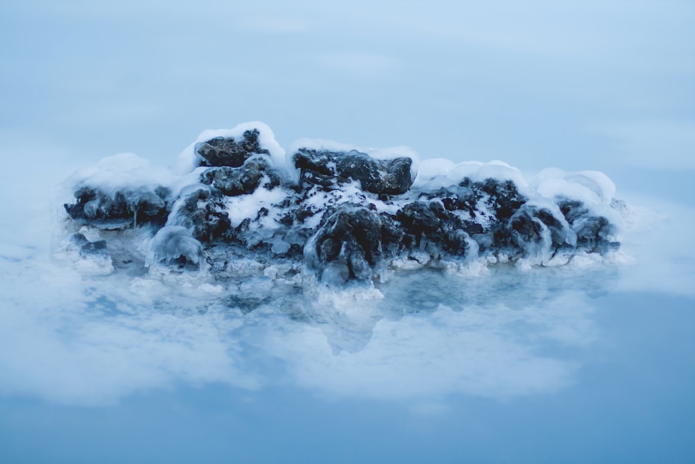 island filled with snow