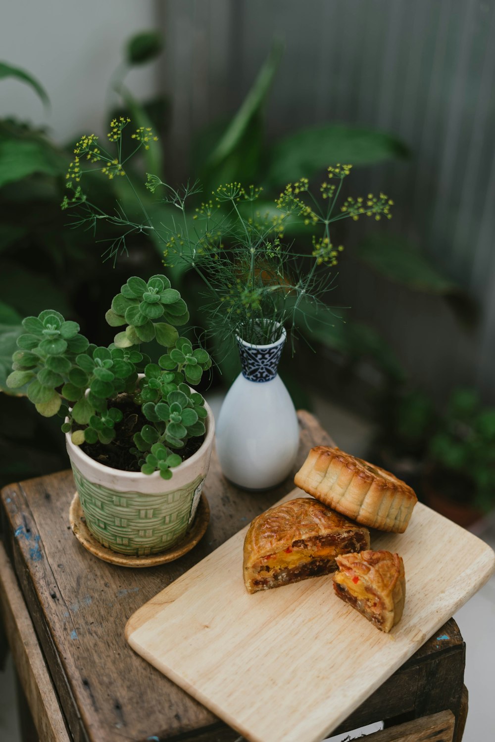 baked moon cake on tray beside plants