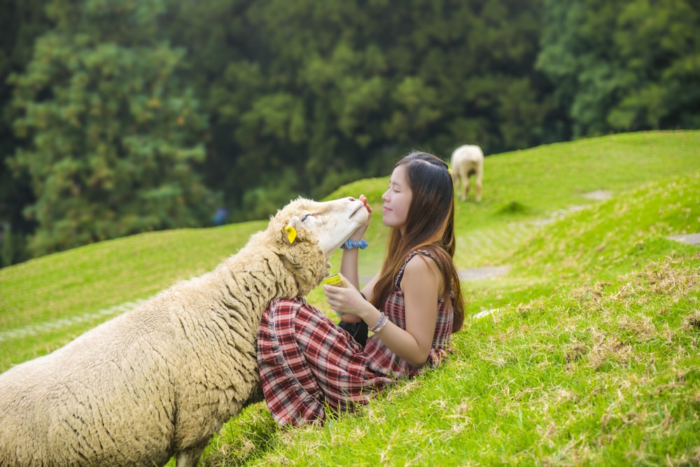 mulher segurando a cabeça da ovelha