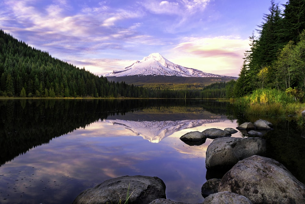 lake surrounded by pine trees near snow-covered mountain