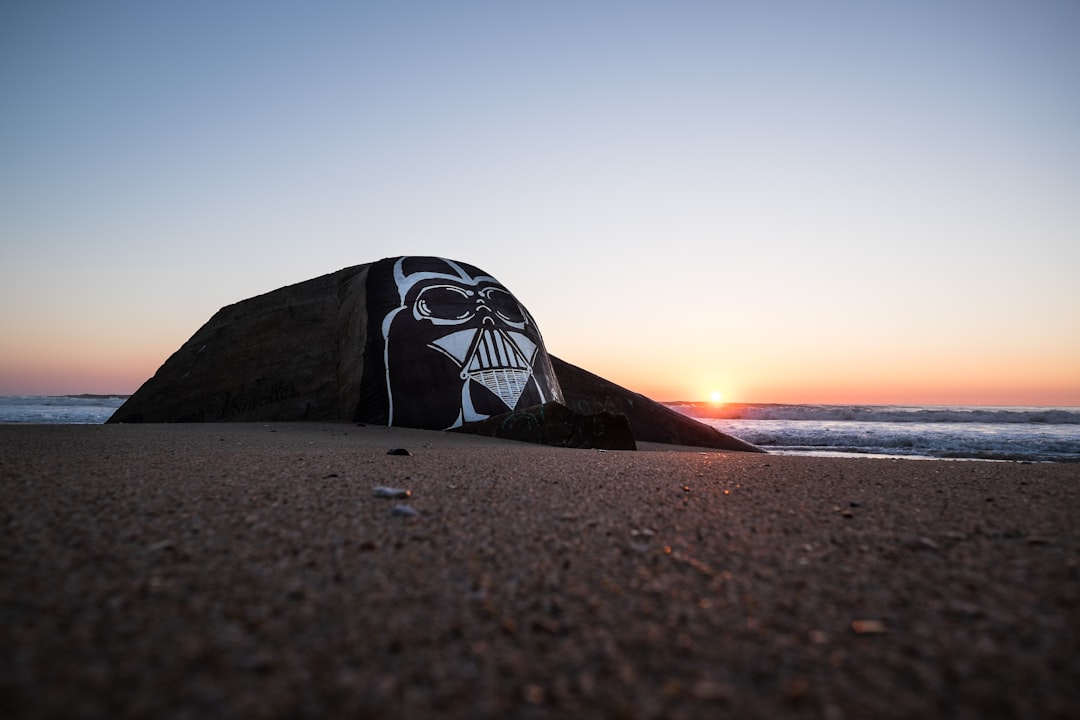 Star Wars Darth Vader decor near body of water