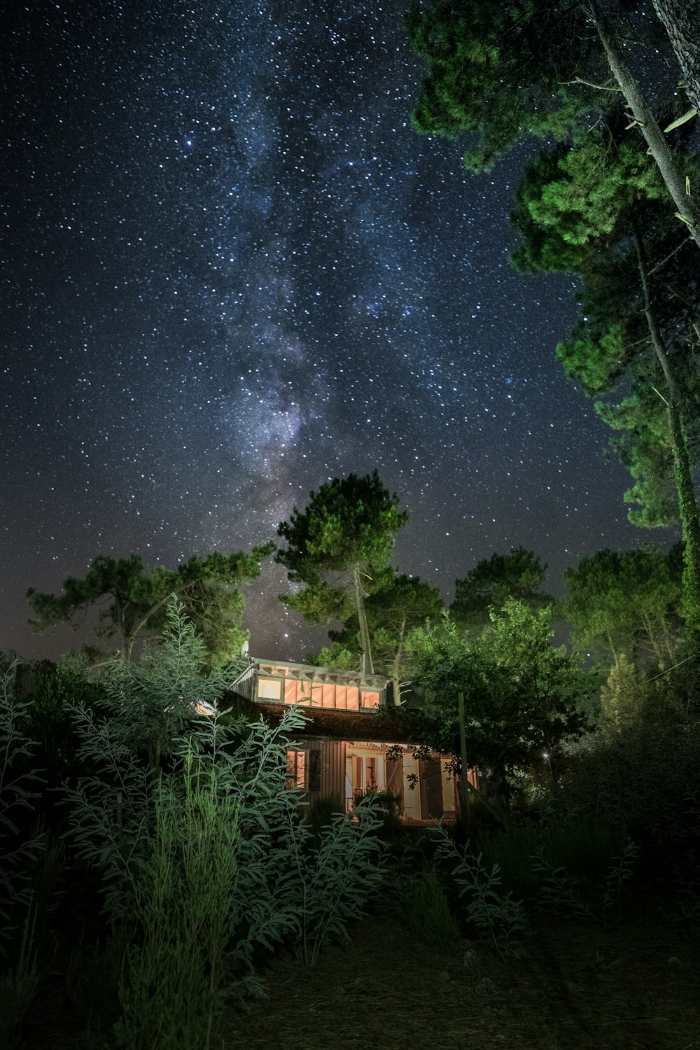 brown wooden house surrounding trees