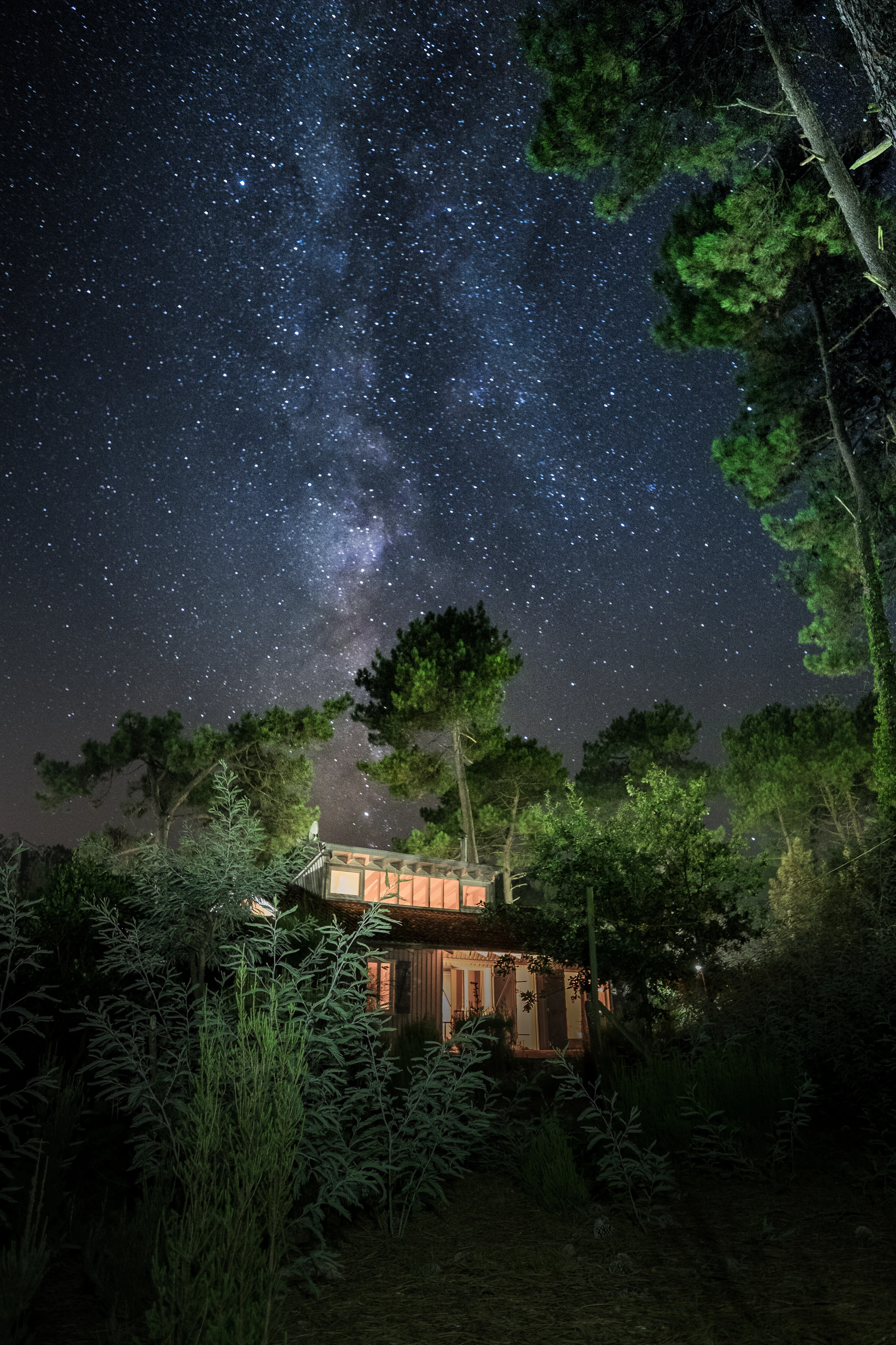A quiet cabin surrounded by trees