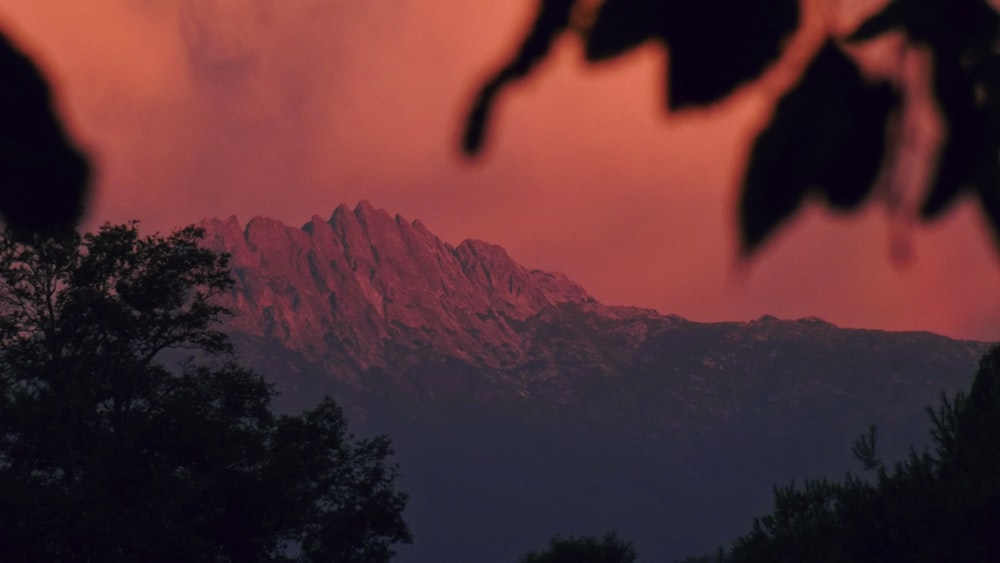 brown mountain during golden hour