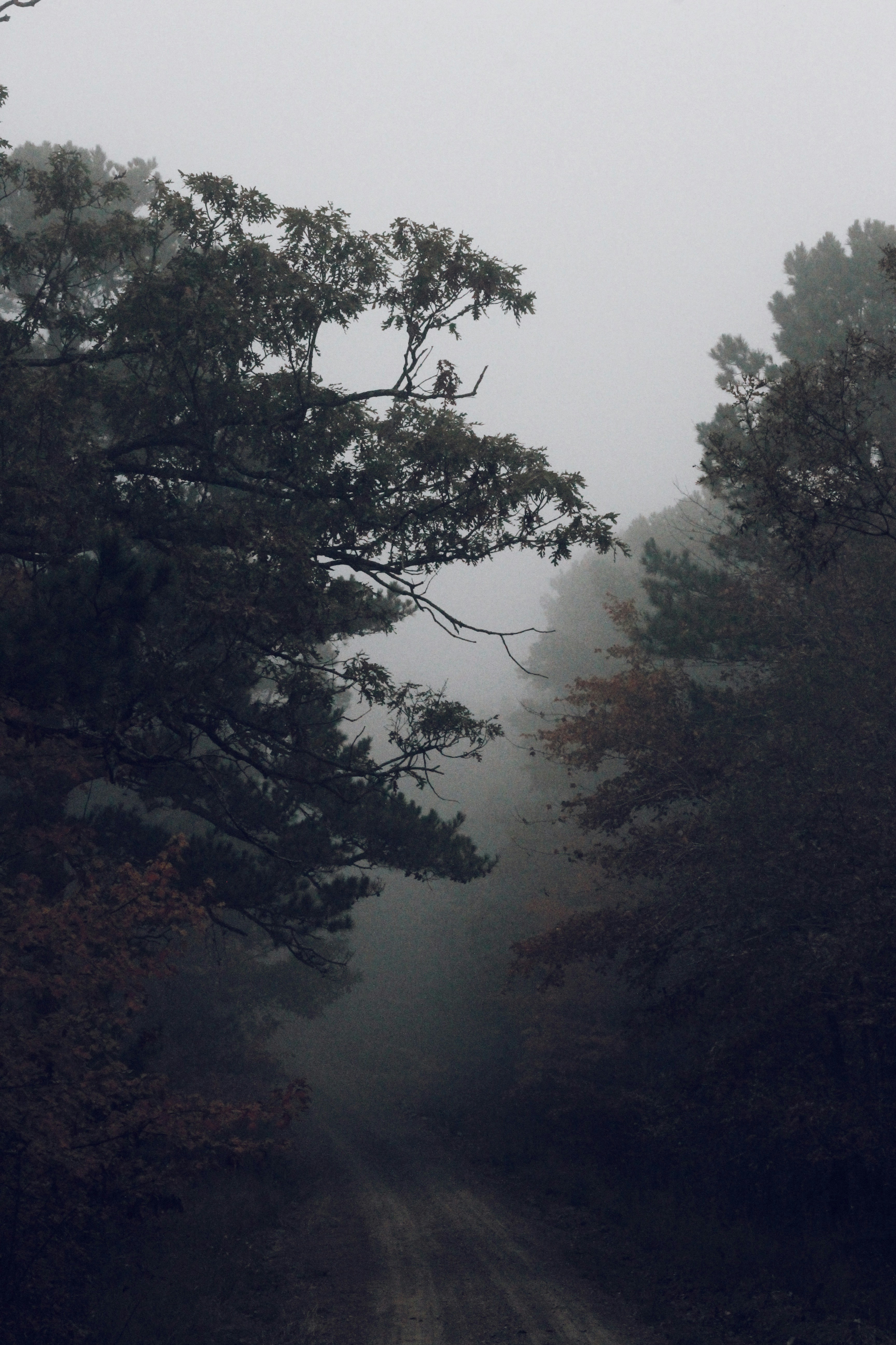 Photo by jennipullen