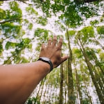 selective force perspective photo of left human hand about to reach green leaf trees