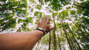person raising his hand in the forest