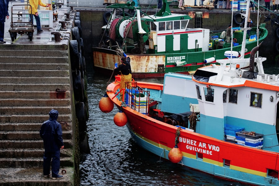 Fishing vessels in a harbor in Brittany, France (Thomas Millot via Unsplash)