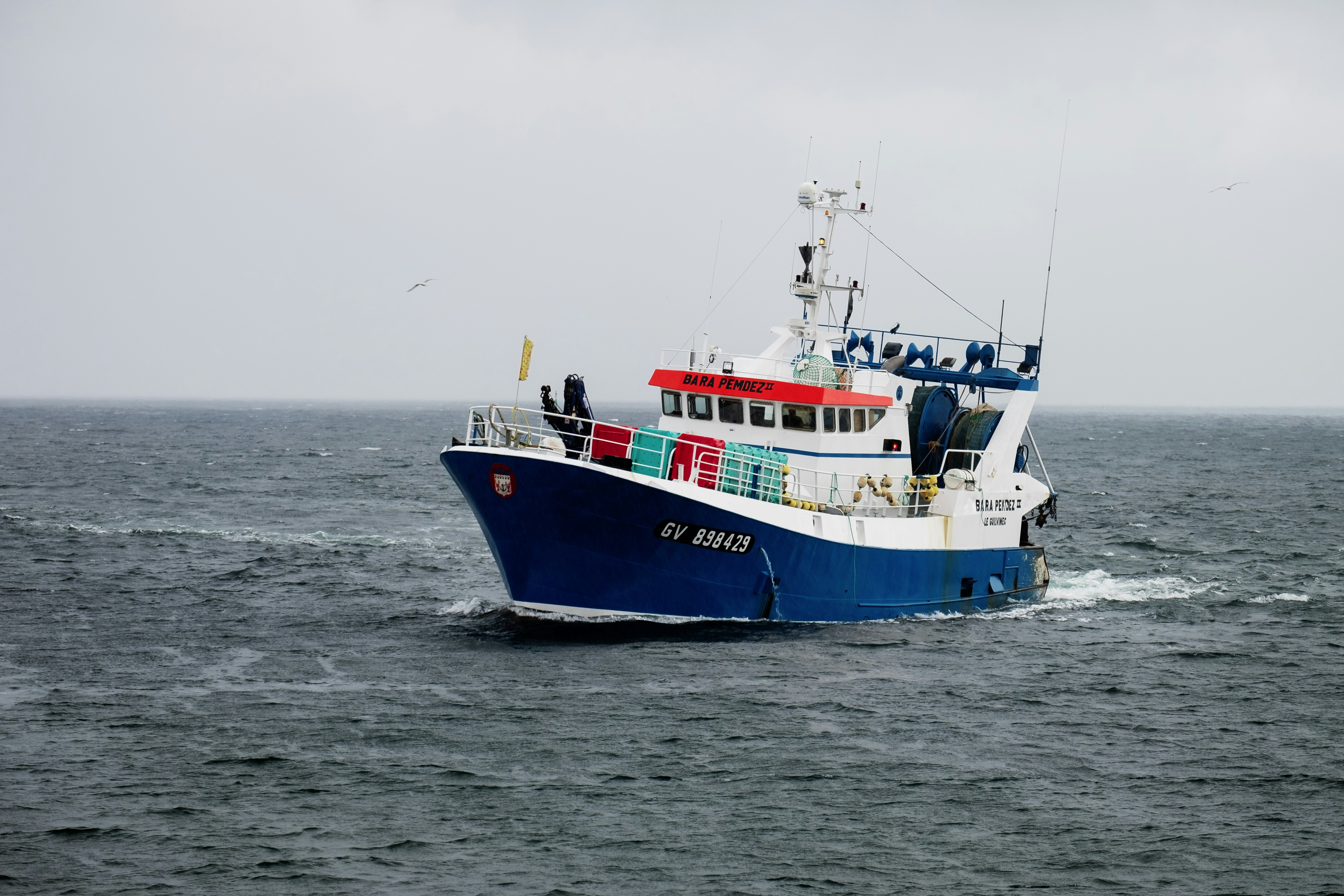 white and blue cargo ship on ocean water