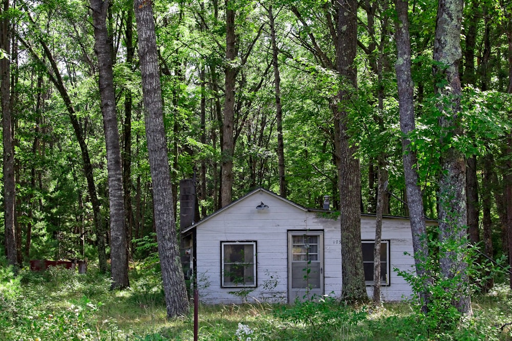 white cabin in forest