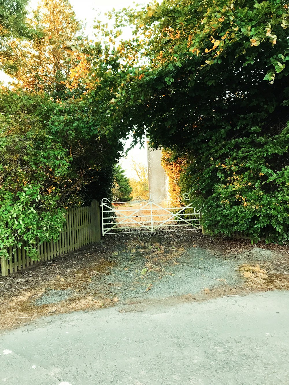 white wooden gate
