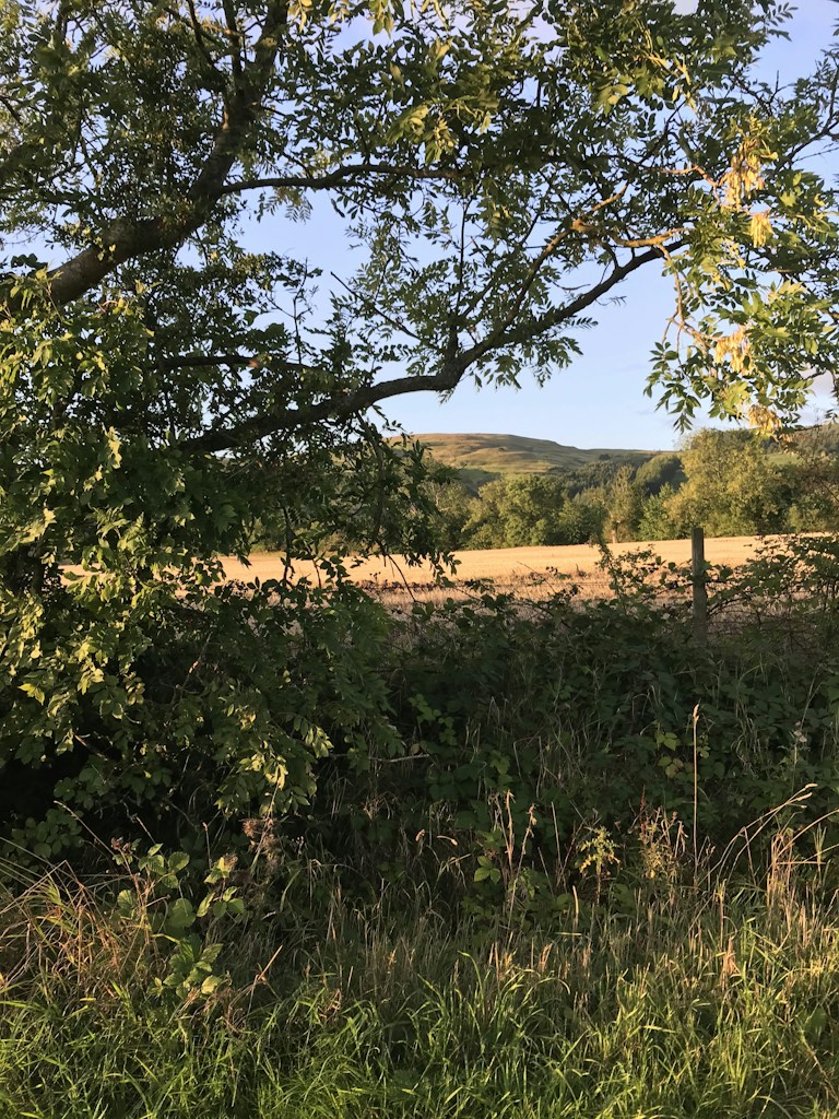 Peaceful Rural Property