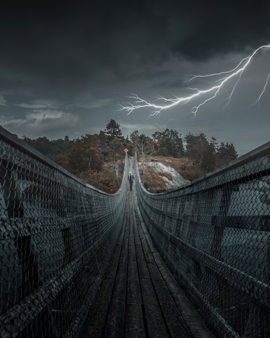 man walking across brown wooden monkey bridge in Tadoussac Canada