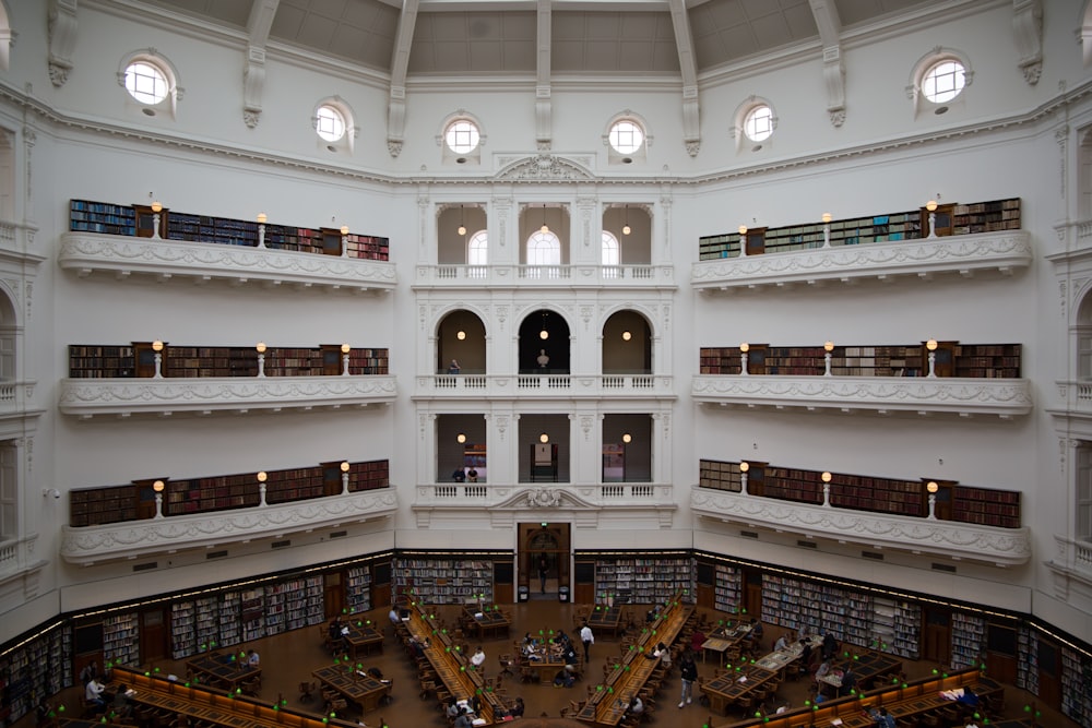 Interno della biblioteca